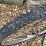 Bike Image 7