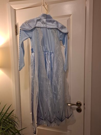 Halloween frozen costume