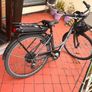 bike Image 6