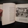 Bullfighting : A Classic Illustrated Guide to the History, Practice, and Art of the Corrida, BY THE AMERICAN MATADOR Image 9