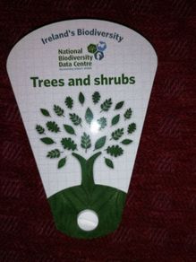 Irish Trees and Shrubs Swatch Guide