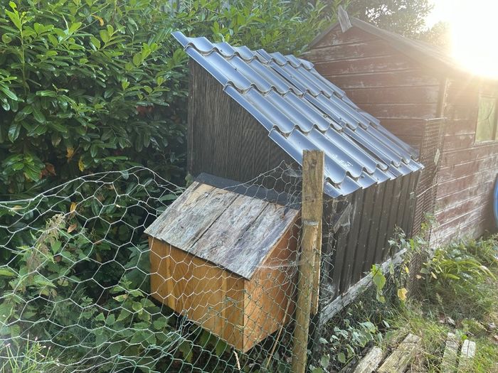 Chicken coop