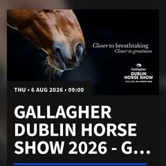 2 X GA Tickets Dublin Horse Show