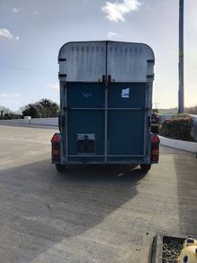 Horse box