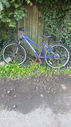 bycicles for sale 5