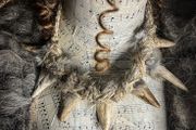 1 Made to Order Flidais Deer Antler Necklace Celtic Mythology