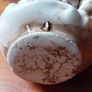 Antique  Capodimonte Image 4