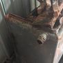 Back Boiler Image 2