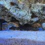 Aquarium Juwel vision 180 curved full set Image 4