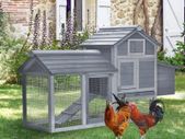 Chicken Coop
