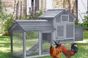 Chicken Coop
