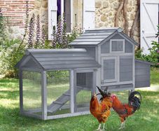 Chicken Coop