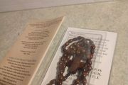 the Rosary Catholic Printable Prayer Packet PDF