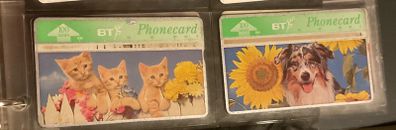 UK BT Phone Cards Spring in the Air series - Three Kittens and Sunflower and dog 100 units
