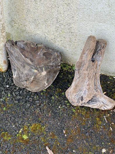 Substantial Collection of Old Bog Oak. Delivery by van can be arranged.