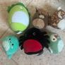 Squishmallows Image 4