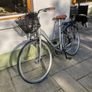 Bicycle Image 3