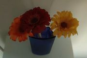 Vase + Flowers