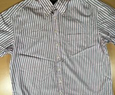 Gant Shirt Mens 2XL Striped Short Sleeve Collared Liberty Bell Poplin - Pink\Blue