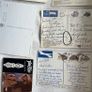 South Africa, Apartheid Era Postcards x 15 - Free Postage Image 7