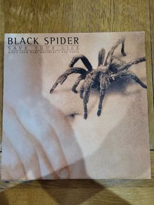 Black Spider Save Your Life