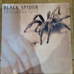 Black Spider Save Your Life