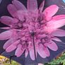Reversal umbrella Image 5