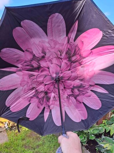 Reversal umbrella