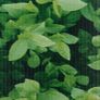 Garden Privacy Screens 4 pcs PVC 35x0.19 m Green Image 2