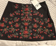 Zara Emroidered skirt BNWT