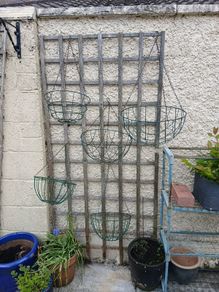 hanging baskets