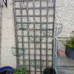 hanging baskets