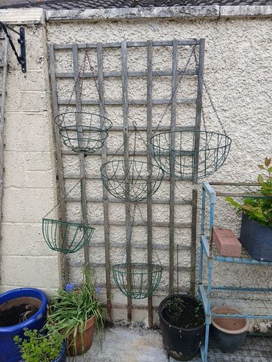 hanging baskets