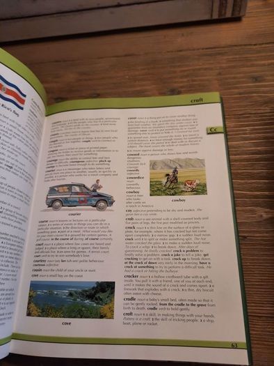 Illustrated Childrens Dictionary Hardback