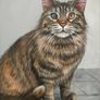 Custom Cat Portrait Image 3