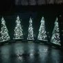 Christmas Trees Image 3