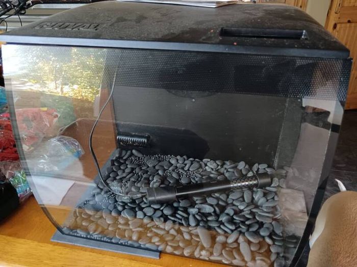 Fluval Flex 2 57l fishtank