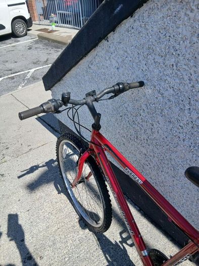 Adults Bike