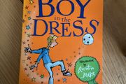 David Walliams The Boy in the Dress