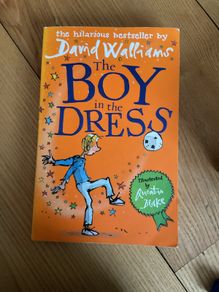 David Walliams The Boy in the Dress