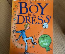 David Walliams The Boy in the Dress