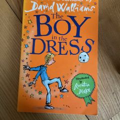 David Walliams The Boy in the Dress