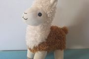 teddy alpaca