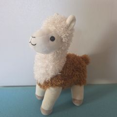 teddy alpaca