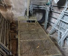 sheep trimming table