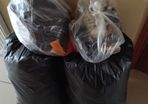 Girls clothes and shoes bundle age 6-9