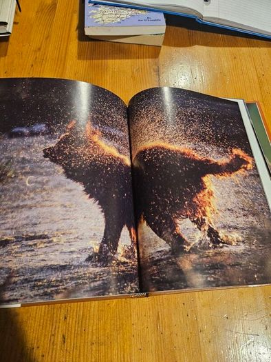 Just Dogs. A Literary And Photographic Tribut To The Great Hunting Breeds. First Edition Large Volume Hardback With Dustjacket In Good Condition.  See Photos For Same.