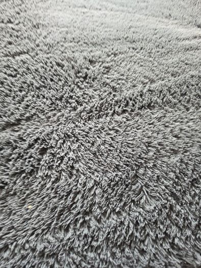 Carpet