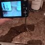 lumix Image 4
