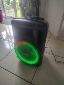 Fenton FT 12 inch LED party box